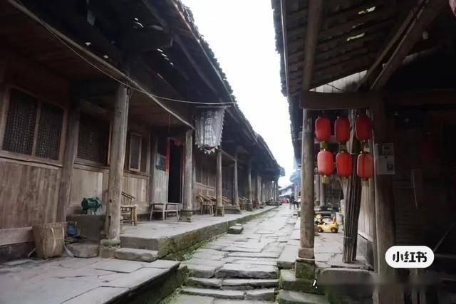 探索知识星球 有没朋友知道,如何生个男宝宝?,轻松解锁知识宝库